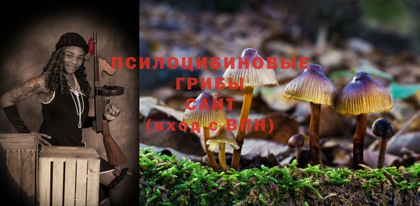 мескалин Абаза