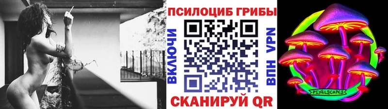 Галлюциногенные грибы Psilocybine cubensis  Поворино 